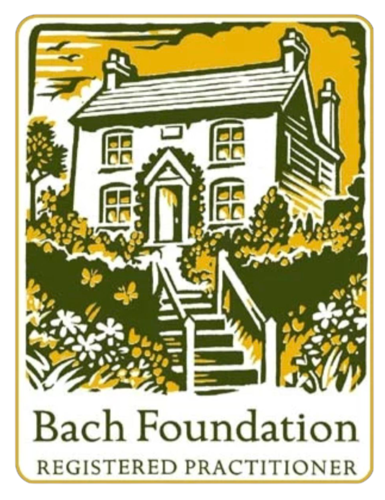 escola de bach
